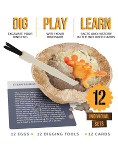 Excavadora de Dinosaurios Dan&Darci - 12 Huevos para Niños 3-12 Años 2