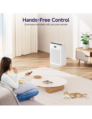 Purificador de aire H13 Hepa F1 para habitación grande 278 m