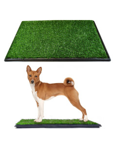 Alfombrilla Césped para Perros Downtown Pet Supply 50x63 cm