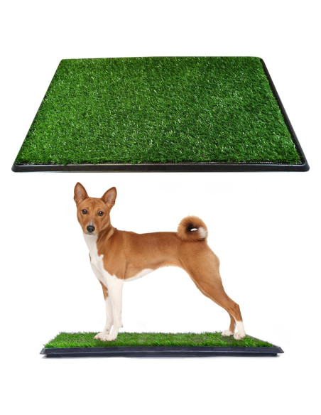 Alfombrilla Césped para Perros Downtown Pet Supply 50x63 cm