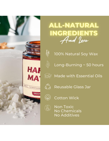 Vela Aromática Hakuna Matata Disney 100% Soja 385g