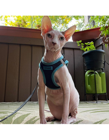 Arnés Reflectante para Perros y Gatos Mejores Suministros S