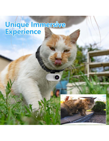 Cámara de Collar Ehomful HD 1080P para Mascotas Inalámbrica