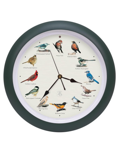 Reloj de Pájaro Cantor Mark Feldstein 25 Aniversario 33 cm Verde