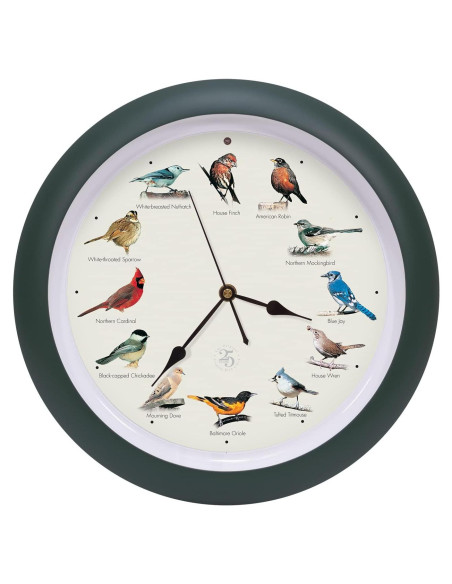 Reloj de Pájaro Cantor Mark Feldstein 25 Aniversario 33 cm Verde