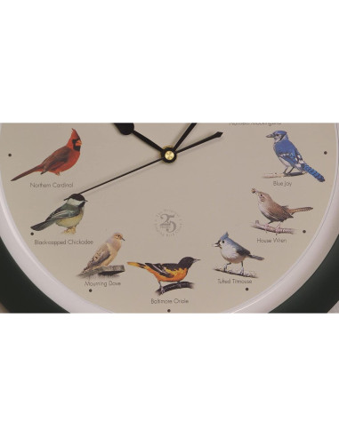 Reloj de Pájaro Cantor Mark Feldstein 25 Aniversario 33 cm Verde