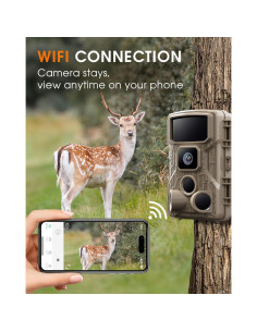 Cámara de sendero WiFi Punvoe 4K 64MP IP67 visión nocturna 2