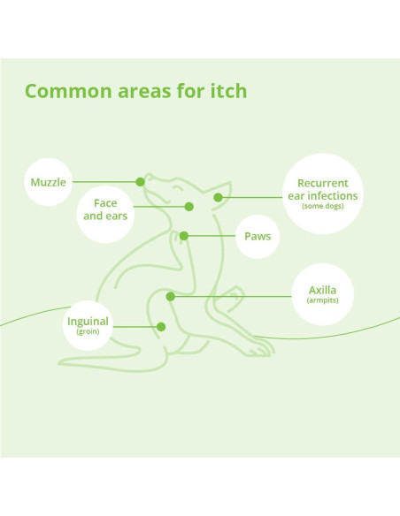 Champú de Avena Dechra 340g - Sin Jabón para Mascotas