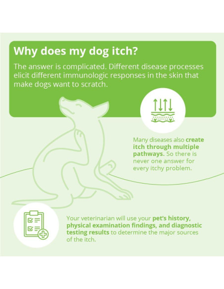 Champú de Avena Dechra 340g - Sin Jabón para Mascotas