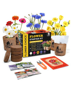 Kit de Jardín de Margaritas Meekear - 5 Bolsas, Discos y Tijeras