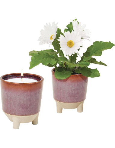 Kit de Crecimiento de Flores + Vela Aromática Modern Sprout