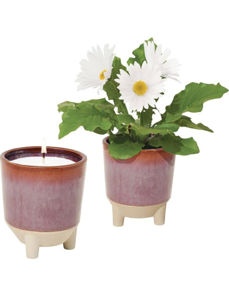 Kit de Crecimiento de Flores + Vela Aromática Modern Sprout
