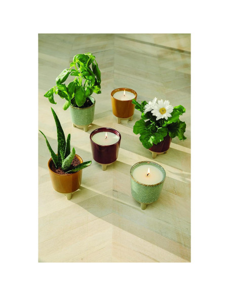 Kit de Crecimiento de Flores + Vela Aromática Modern Sprout