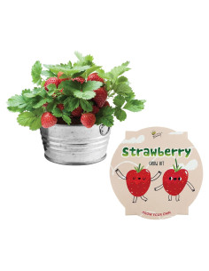 Kit de Crecimiento de Semillas Buzzy Fresa para Niños