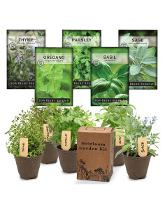 Kit de Jardín de Semillas de Hierbas Italianas Sow Right Seeds