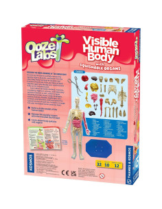 Modelo Cuerpo Humano Visible Thames & Kosmos 22.86 cm 2