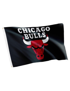 Bandera Chicago Bulls Desert Cactus 91x152 cm Poliester