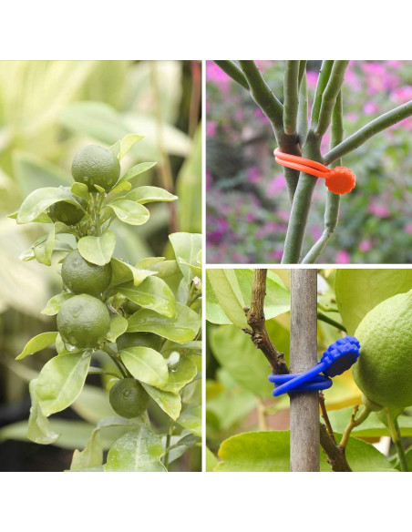 Corbatas Magnéticas Rich&Ray 20 Piezas Silicona 10 Colores