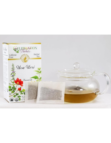 Té de Uva Ursi Orgánico Celebration Herbals 24 Bolsitas 0.01 kg