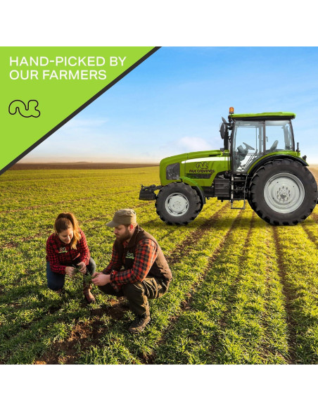 Nueces de Brasil Crudas Nut Cravings 907g Snack Saludable