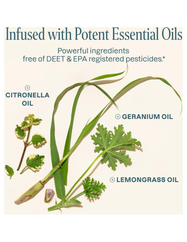 Cliganic Paquete de 10 Pulseras Repelentes Sin DEET