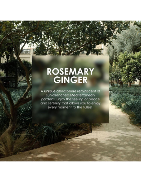 Crema de Manos Jean & Len 75 ml Romero y Jengibre Sin Parabenos Crema de Manos Jean & Len 75 ml Romero y Jengibre Sin Parabenos