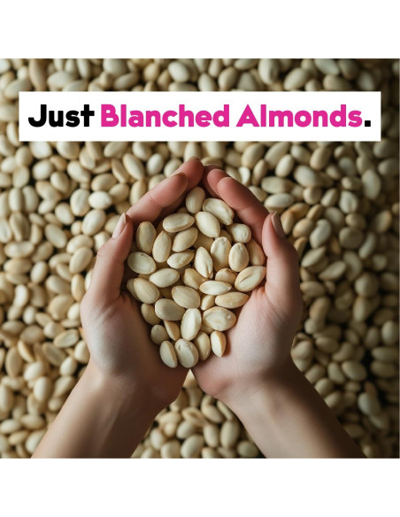 Concentrado de Leche de Almendra JOI 3.63 kg Sin Azúcar Vegano