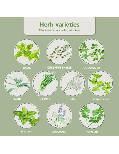 Kit de Jardín de Hierbas 10 Especies - Macetas y Suelo