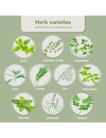 Kit de Jardín de Hierbas 10 Especies - Macetas y Suelo