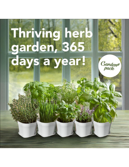 Kit de Jardín de Hierbas 10 Especies - Macetas y Suelo