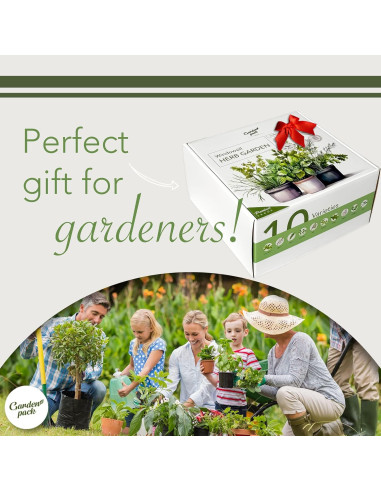 Kit de Jardín de Hierbas 10 Especies - Macetas y Suelo