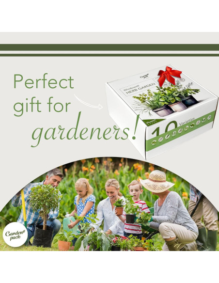 Kit de Jardín de Hierbas 10 Especies - Macetas y Suelo