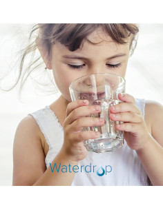Filtro de Agua Waterdrop WD-PF-01A Plus Certificado NSF 2