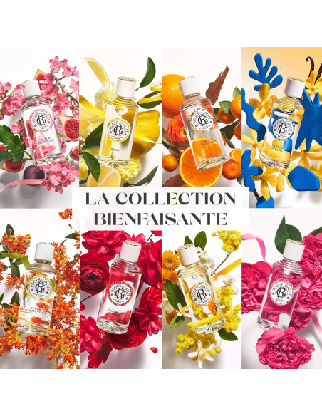 Gel de Ducha y Jabón Corporal Roger & Gallet Jengibre Rojo 99.22 g Gel de Ducha y Jabón Corporal Roger & Gallet Jengibre Rojo 99.22 g