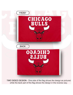 Bandera Chicago Bulls Desert Cactus 3x5 pies 100% Poliéster 2