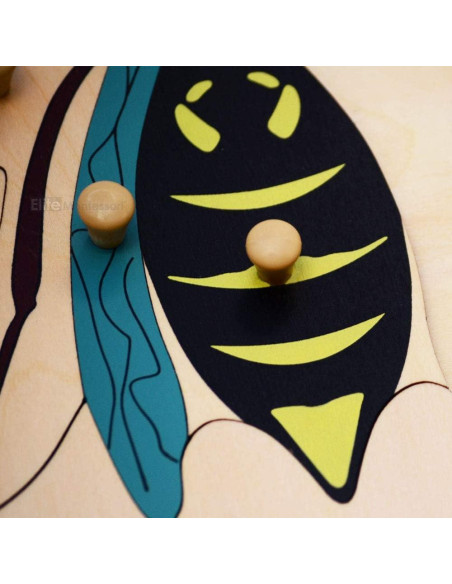 Rompecabezas de Botánica Montessori Elite 24x24 cm