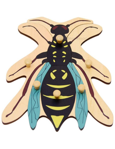 Rompecabezas de Botánica Montessori Elite 24x24 cm