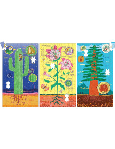 Juego de Rompecabezas de Anatomía de Plantas Mudpuppy 3x100 Piezas 2