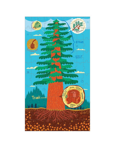 Juego de Rompecabezas de Anatomía de Plantas Mudpuppy 3x100 Piezas