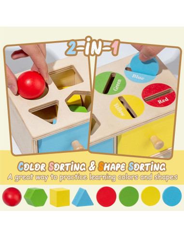Juguetes Montessori Biottro - Clasificador de Formas y Colores
