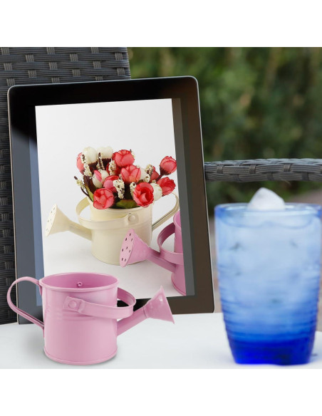 2 Piezas Regadera de Metal para Niños LNQ LUNIQI 200ml Beige