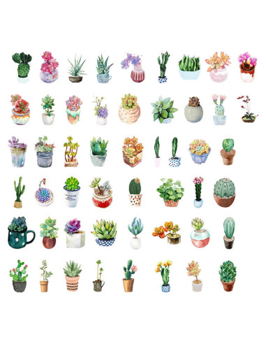 Stickers Estéticos de Suculentas KetA - 50 Piezas Verde
