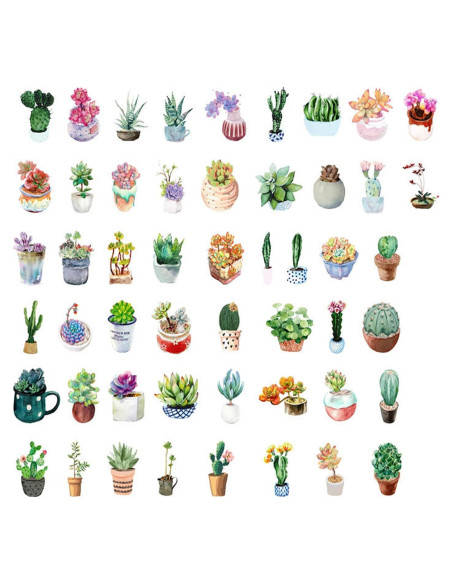 Stickers Estéticos de Suculentas KetA - 50 Piezas Verde