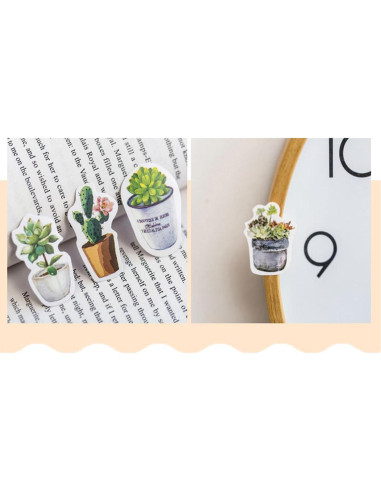 Stickers Estéticos de Suculentas KetA - 50 Piezas Verde