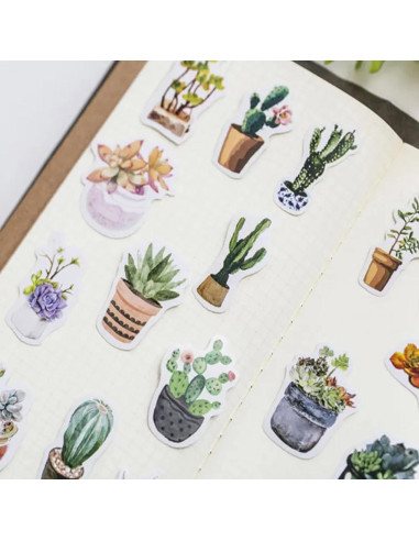 Stickers Estéticos de Suculentas KetA - 50 Piezas Verde