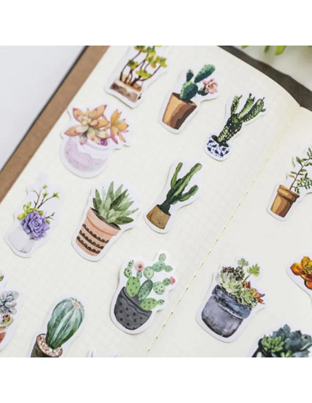 Stickers Estéticos de Suculentas KetA - 50 Piezas Verde