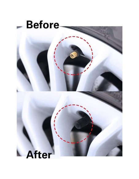 CKAuto 50 Tapas de Válvula Neumático Universal Negro