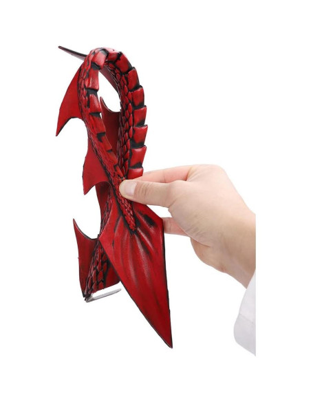 Alas de Dragón Demonio NewL para Niños 60 cm - Halloween 2025