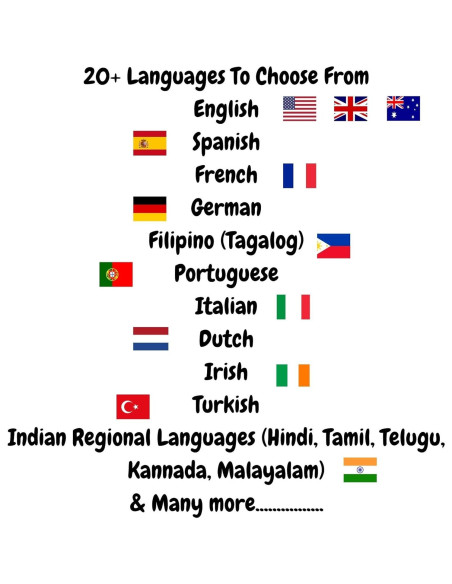 Tarjetas de Flash de Insectos LifeLoLo | 28 Laminadas Bilingües Tarjetas de Flash de Insectos LifeLoLo | 28 Laminadas Bilingües