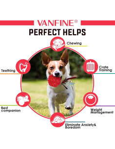 Juguete para Perros VANFINE Squeaky Indestructible 15.95cm 2